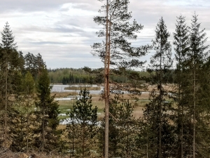 HORIZONTA 7.KĀRTA - NETĀLU NO LUKUMIEŠA EZERA
