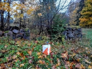 PĒDĒJIE JAUNUMI PIRMS ROGAININGA SESTDIENAS STARTA!!