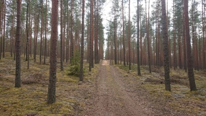 IELŪDZ IGAUŅI