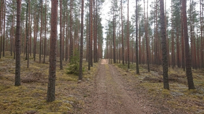 IELŪDZ IGAUŅI