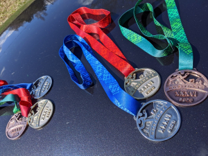 NOVADA ČEMPIONĀTS "JAUNĀ IZPILDĪJUMĀ"