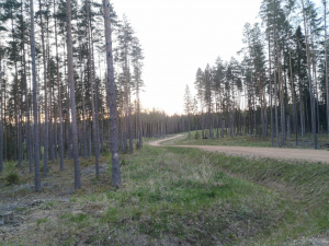 HORIZONTS KOPĀ AR SMILTENES AZIMUTU
