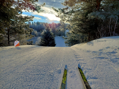 LATVIJAS ZIEMAS ČEMPIONĀTS 22.-23.01. ALŪKSNĒ
